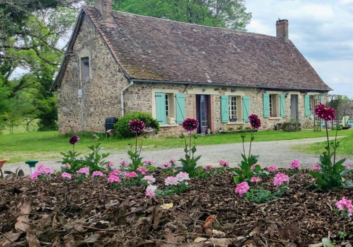 Gites Du Castellare Le Chalard 外观 照片